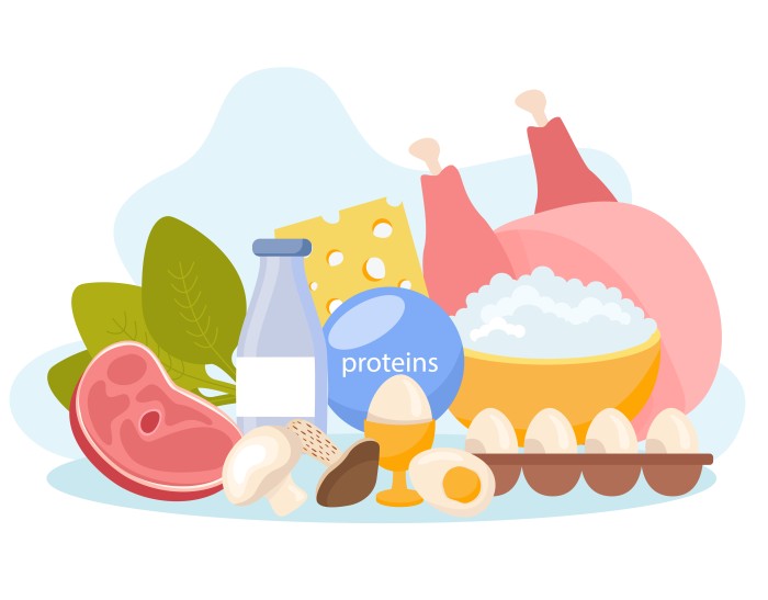 Macronutrients vs Micronutrients: Functions, Differences & Daily Needs