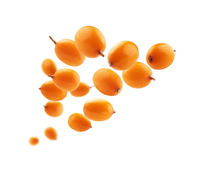 Omega-7 & Sea Buckthorn: The Anti-Aging Secret Backed by Science